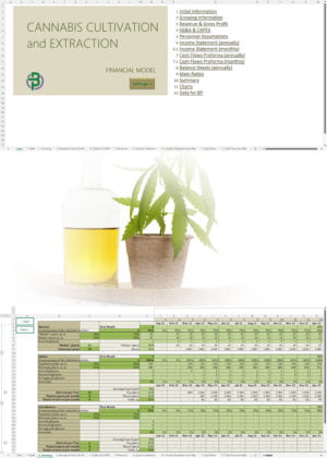 cannabis cultivation extraction financial model