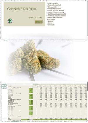 cannabis delivery financial model