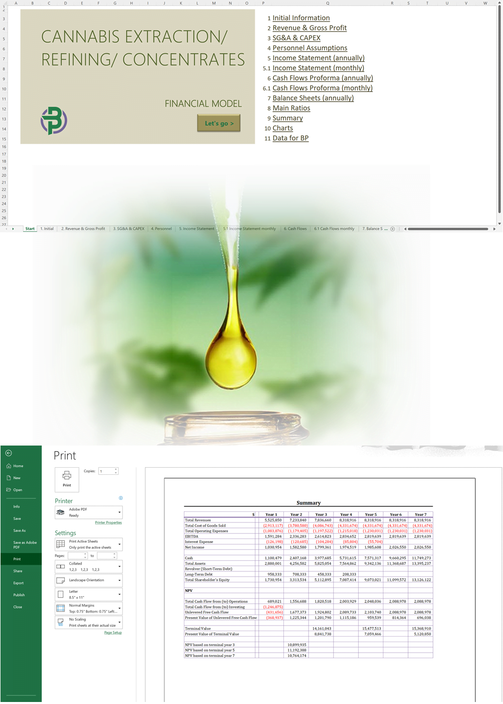 Cannabis Concentrates Financial Model