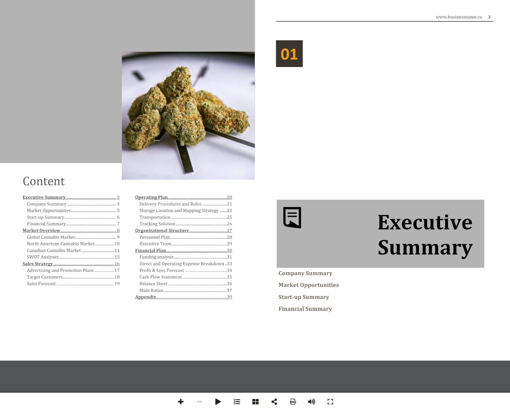cannabis delivery business plan template