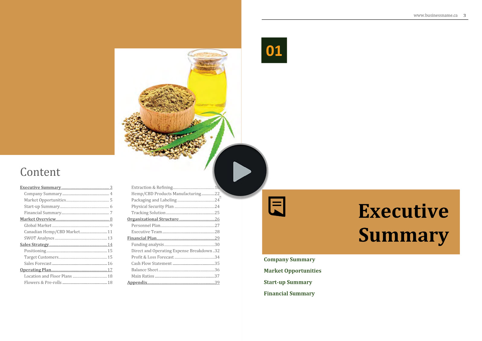 CBD Products Manufacturing Business Plan Template