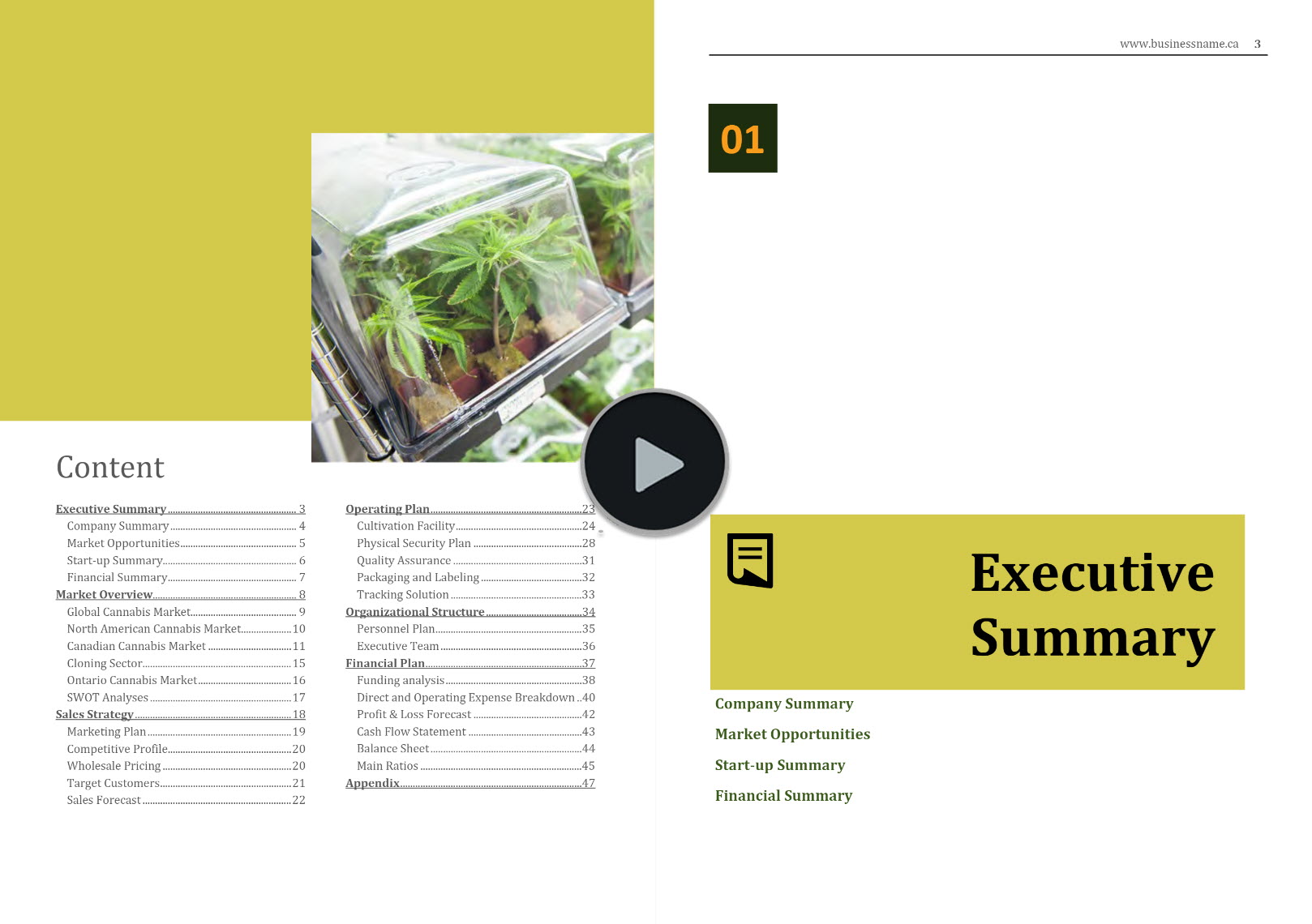 cannabis cultivation nursery business plan