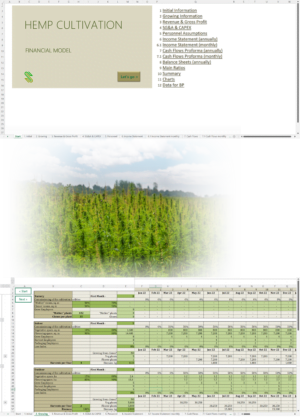 hemp cultivation financial model