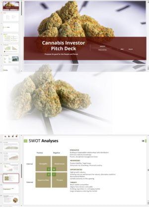 Cannabis Delivery Investor Pitch Deck