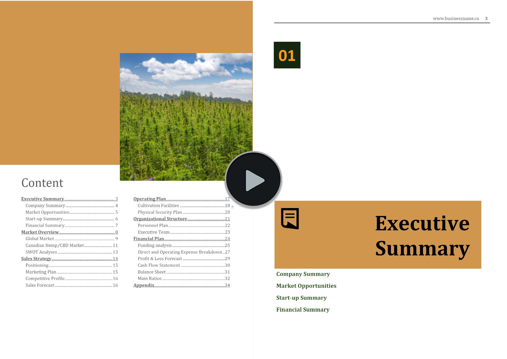 hemp cultivation business plan