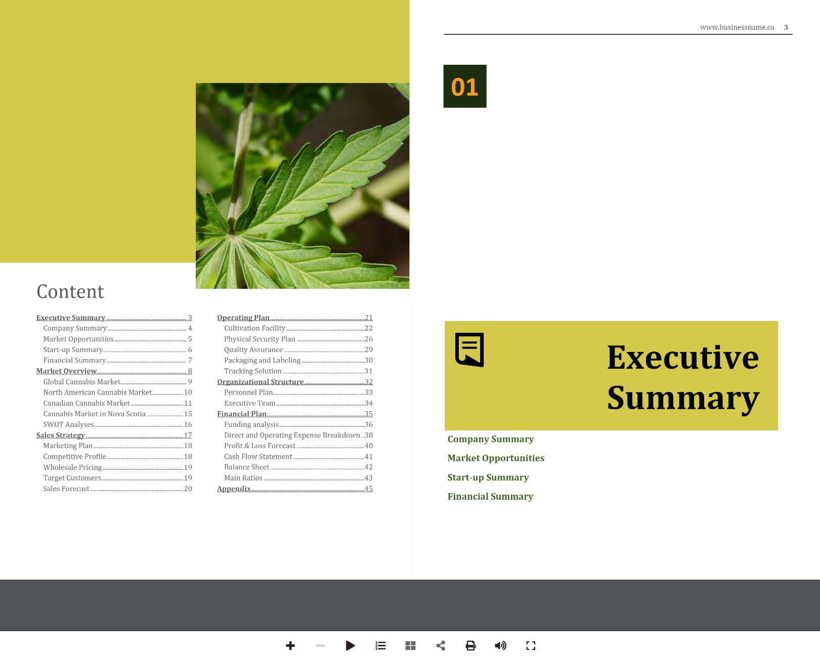 Nova Scotia Cannabis Market