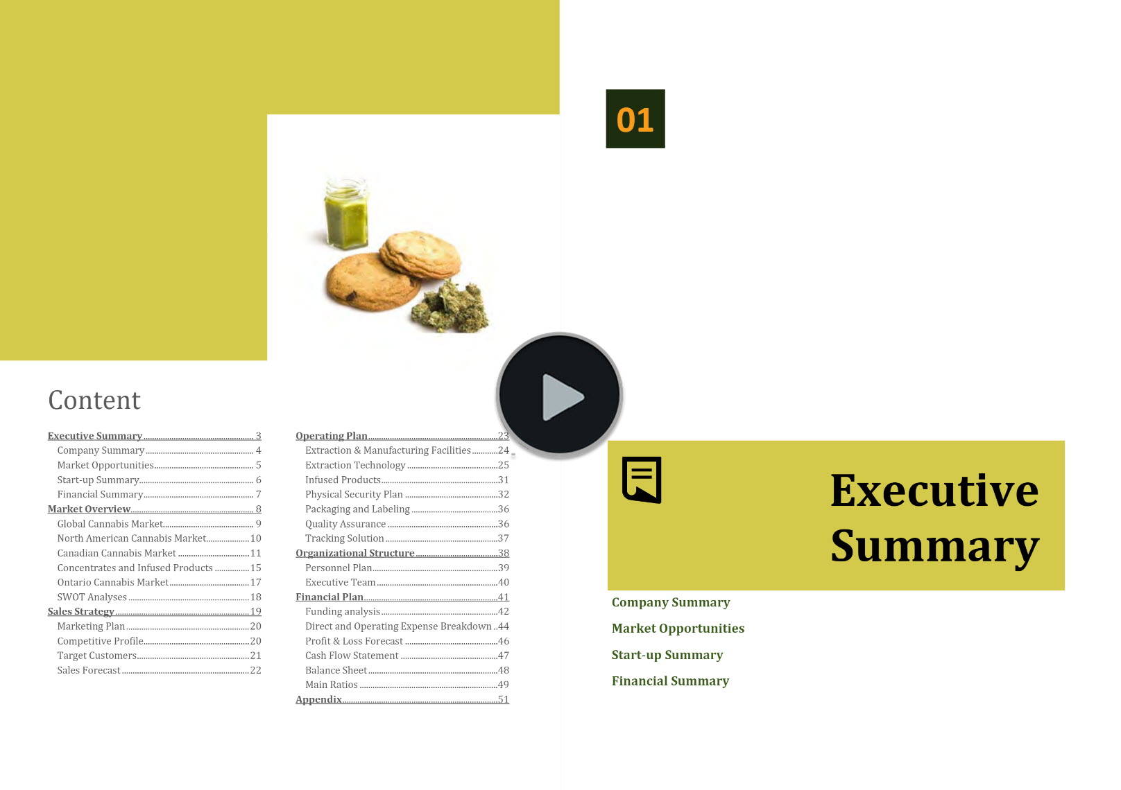 Cannabis Extraction Manufacturing Business Plan Template
