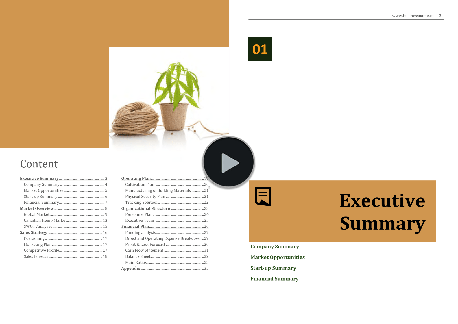 Hemp Fiber Manufacturing Business Plan