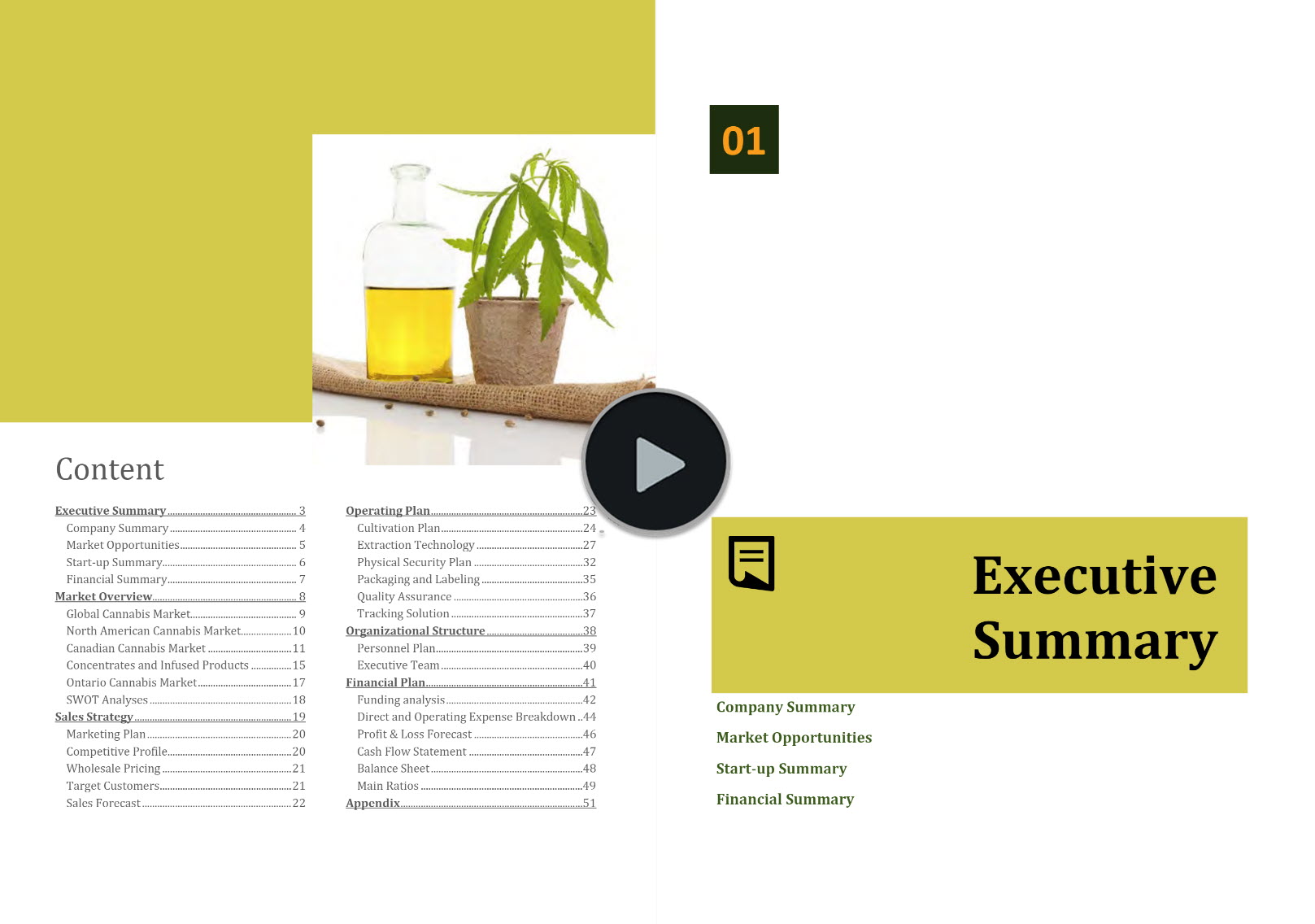Cannabis Cultivation Extraction Business Plan Template