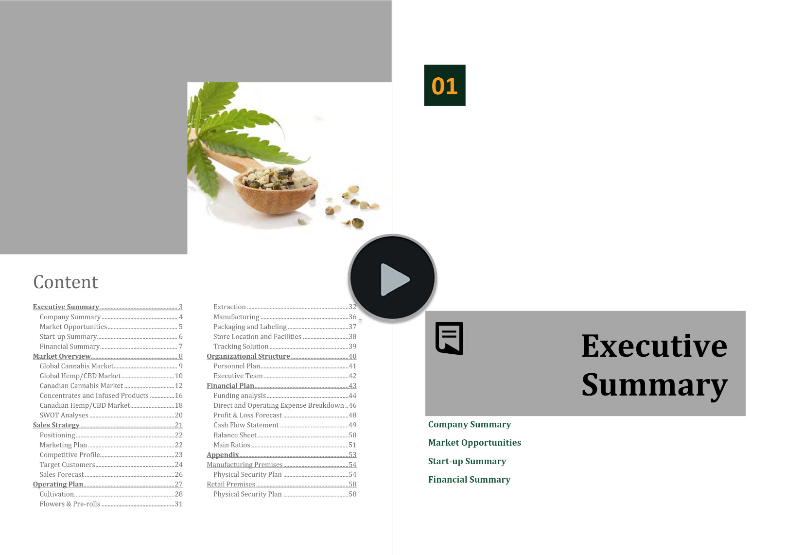 Hemp Cannabis Vertically Integrated Business Plan Template