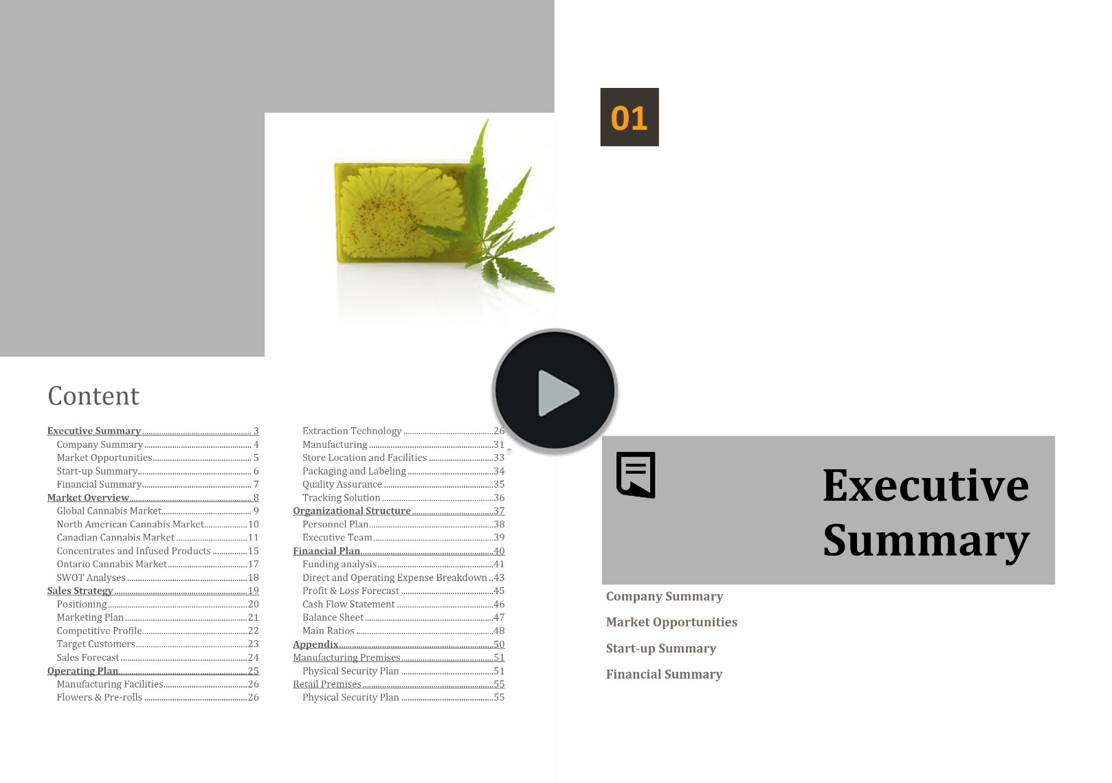 Cannabis Extraction Manufacturing Wholesale Retail Business Plan