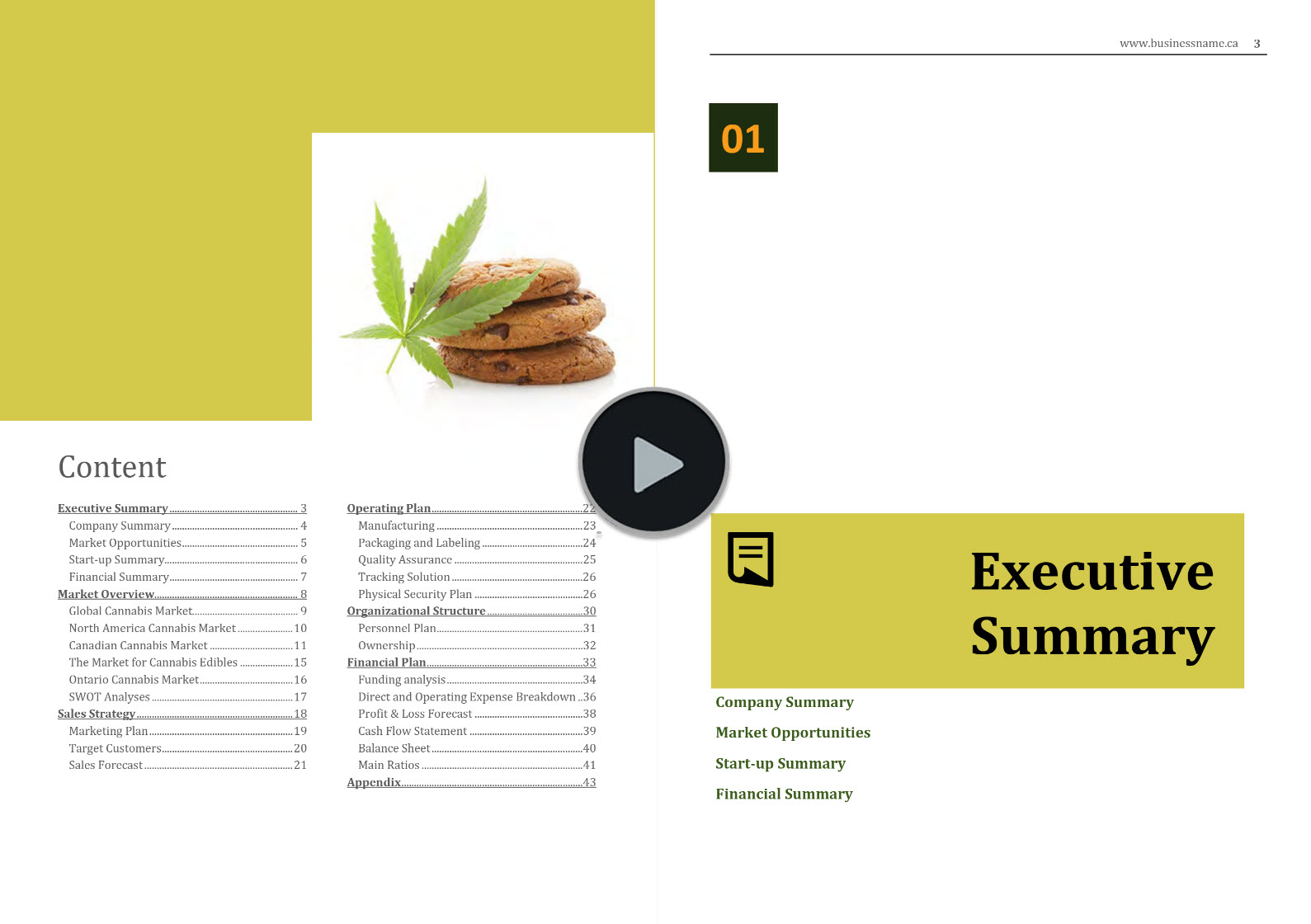 Cannabis Edibles Business Plan Template Canada