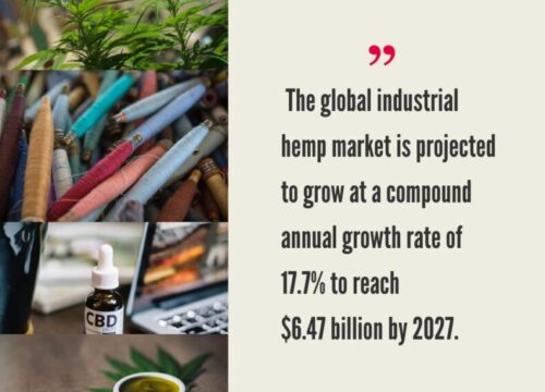 Global Hemp Market