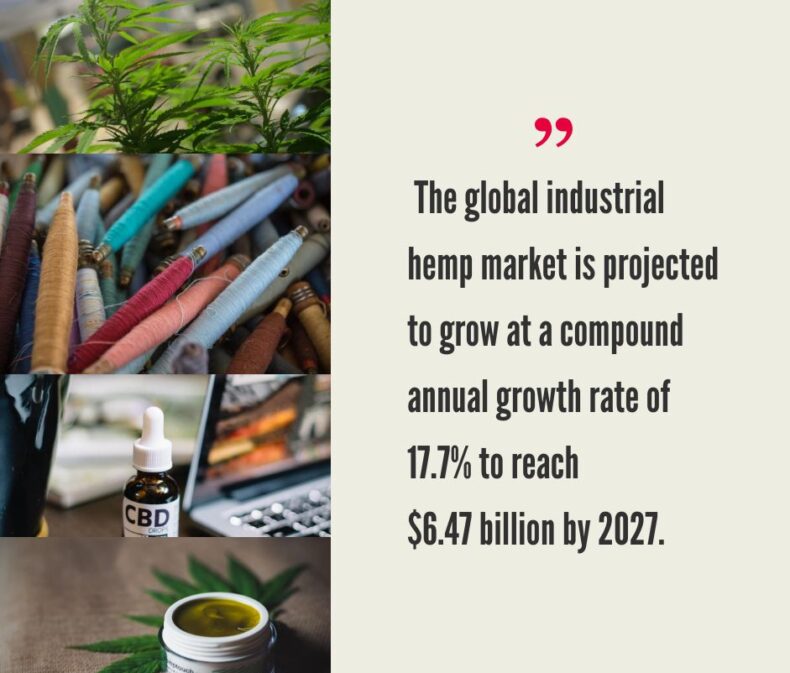 Global Hemp Market