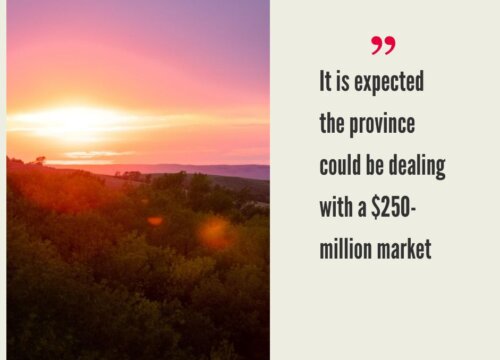 Saskatchewan Cannabis Market