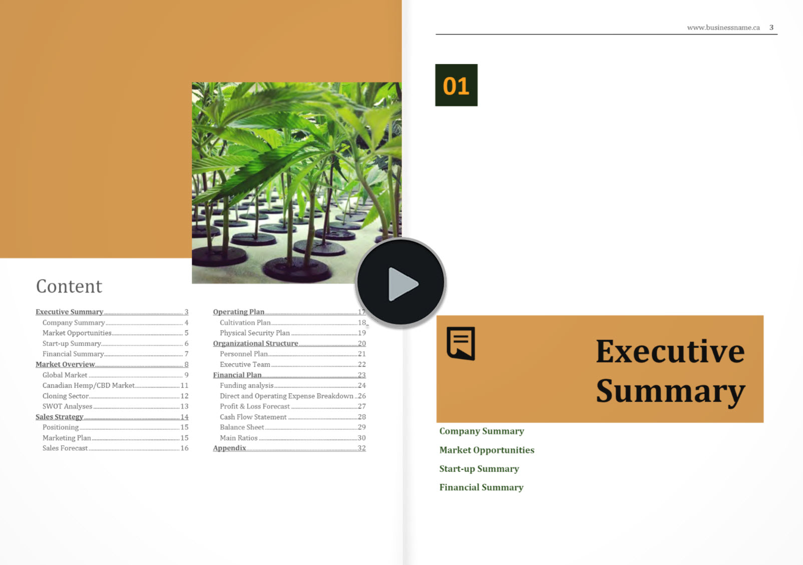 hemp nursery business plan template