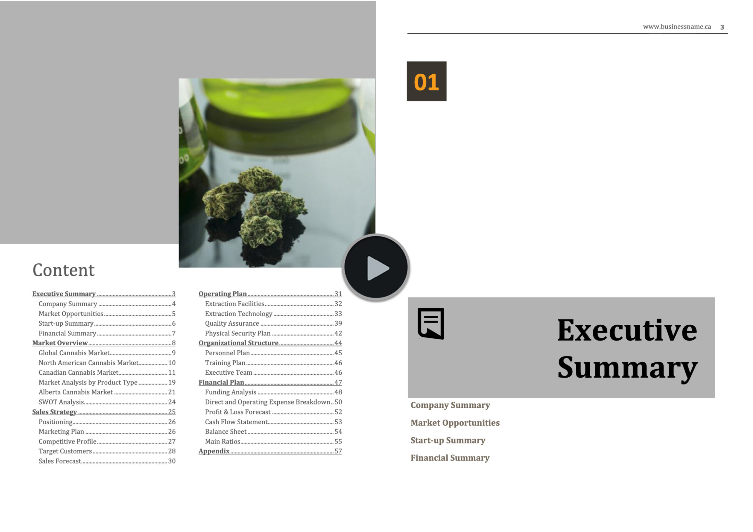 Cannabis micro Processing Business Plan