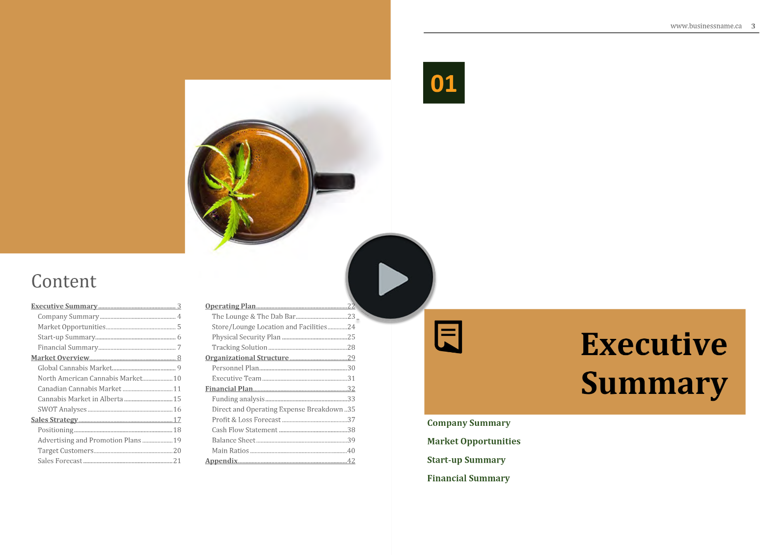 Cannabis Retail Lounge Business Plan