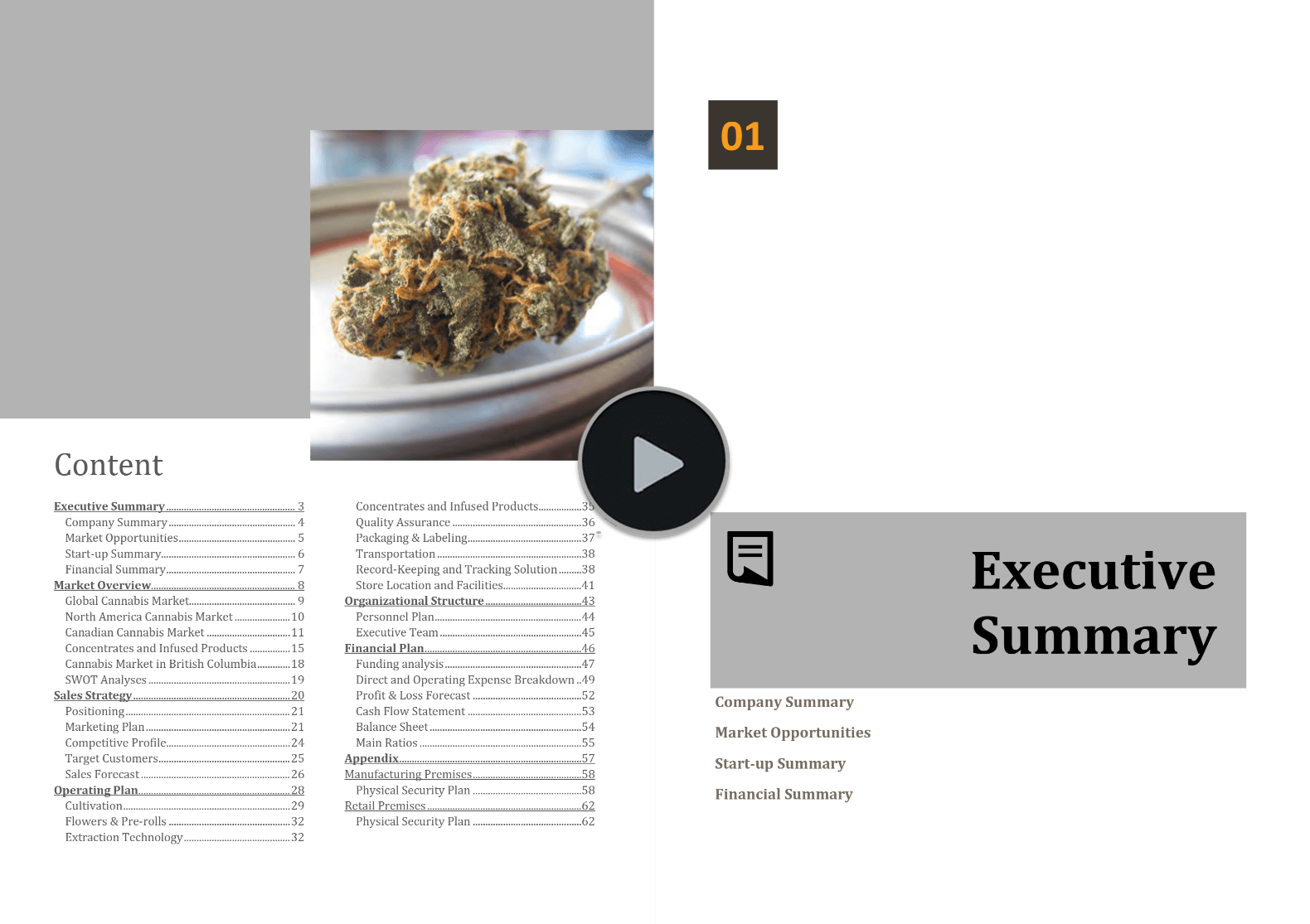 Cannabis Vertically Integrated Business Plan Template