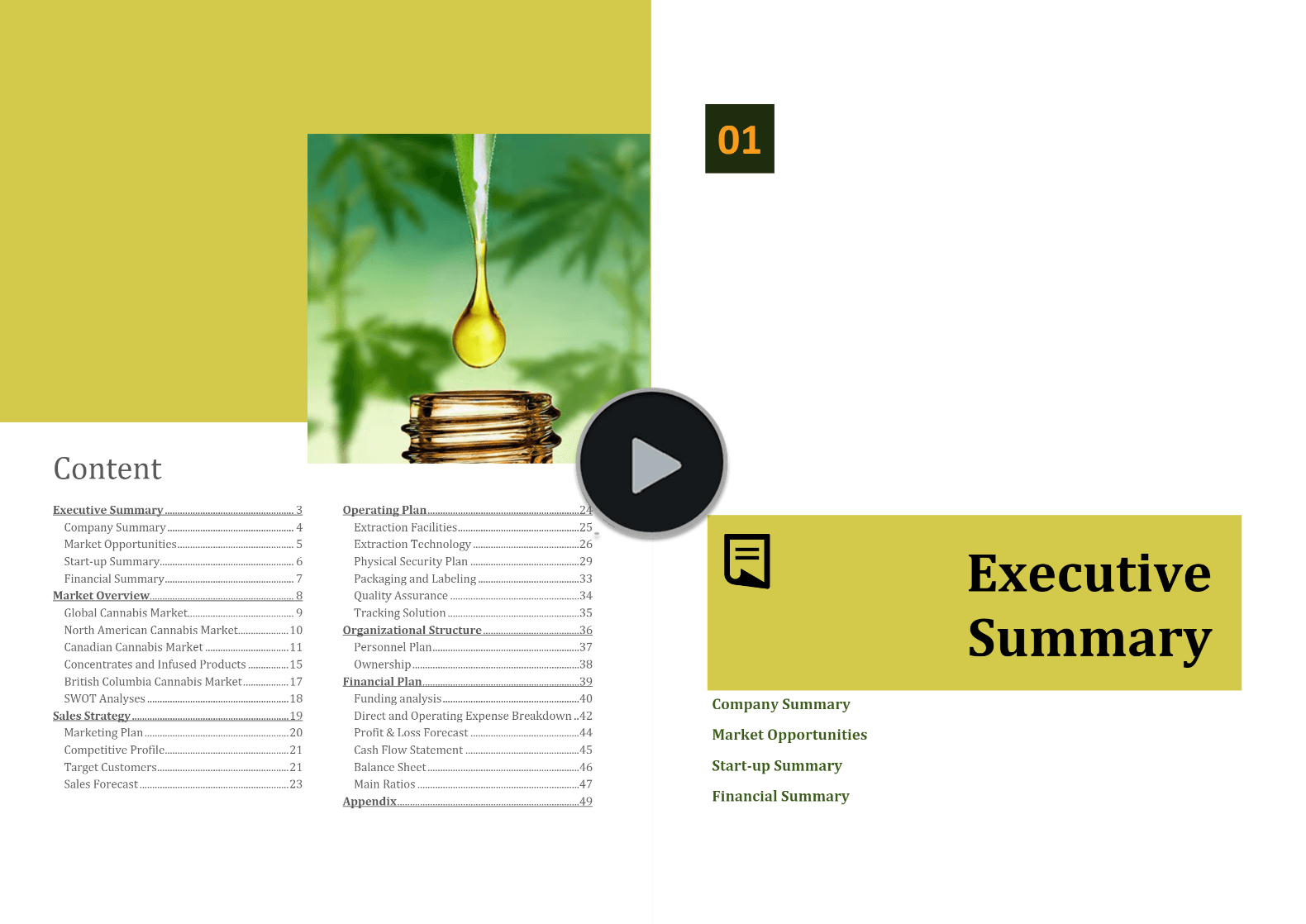 Cannabis Extraction Concentrates Business Plan Template