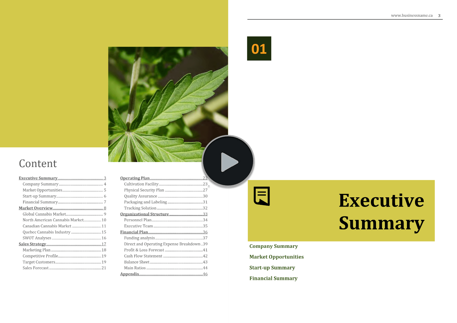 Canada Cannabis Cultivation Business Plan Template
