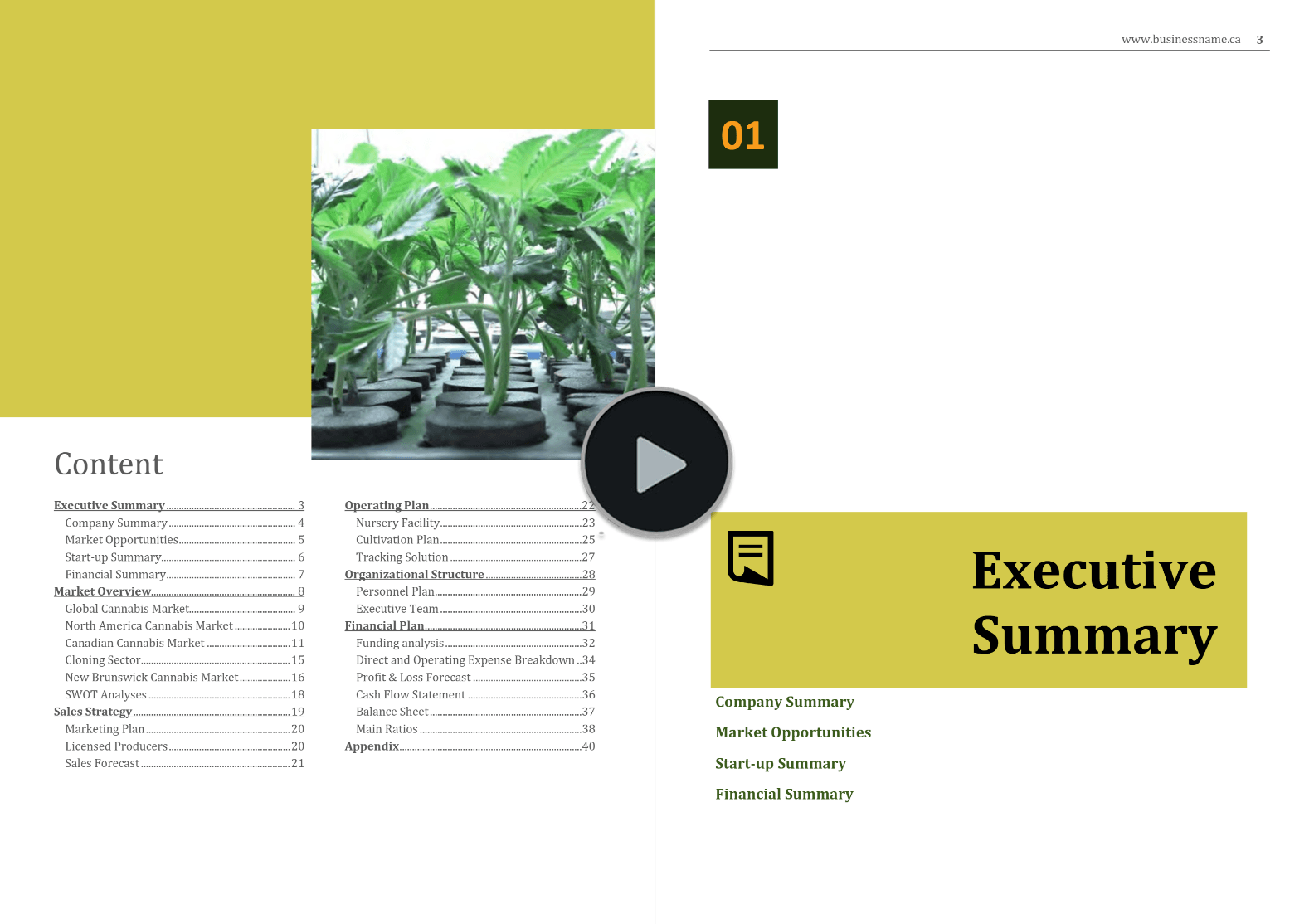 cannabis clones seeds nursery business plan