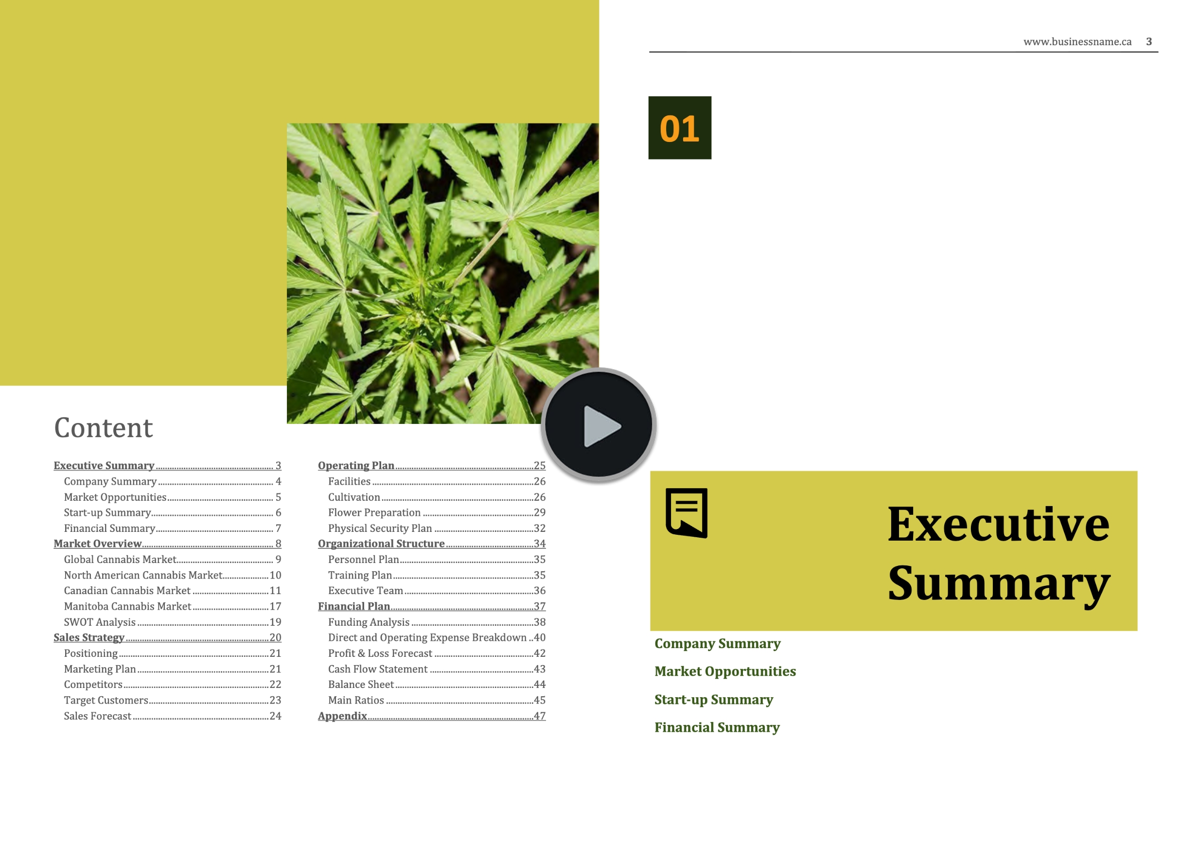 Cannabis Micro Cultivation Business Plan