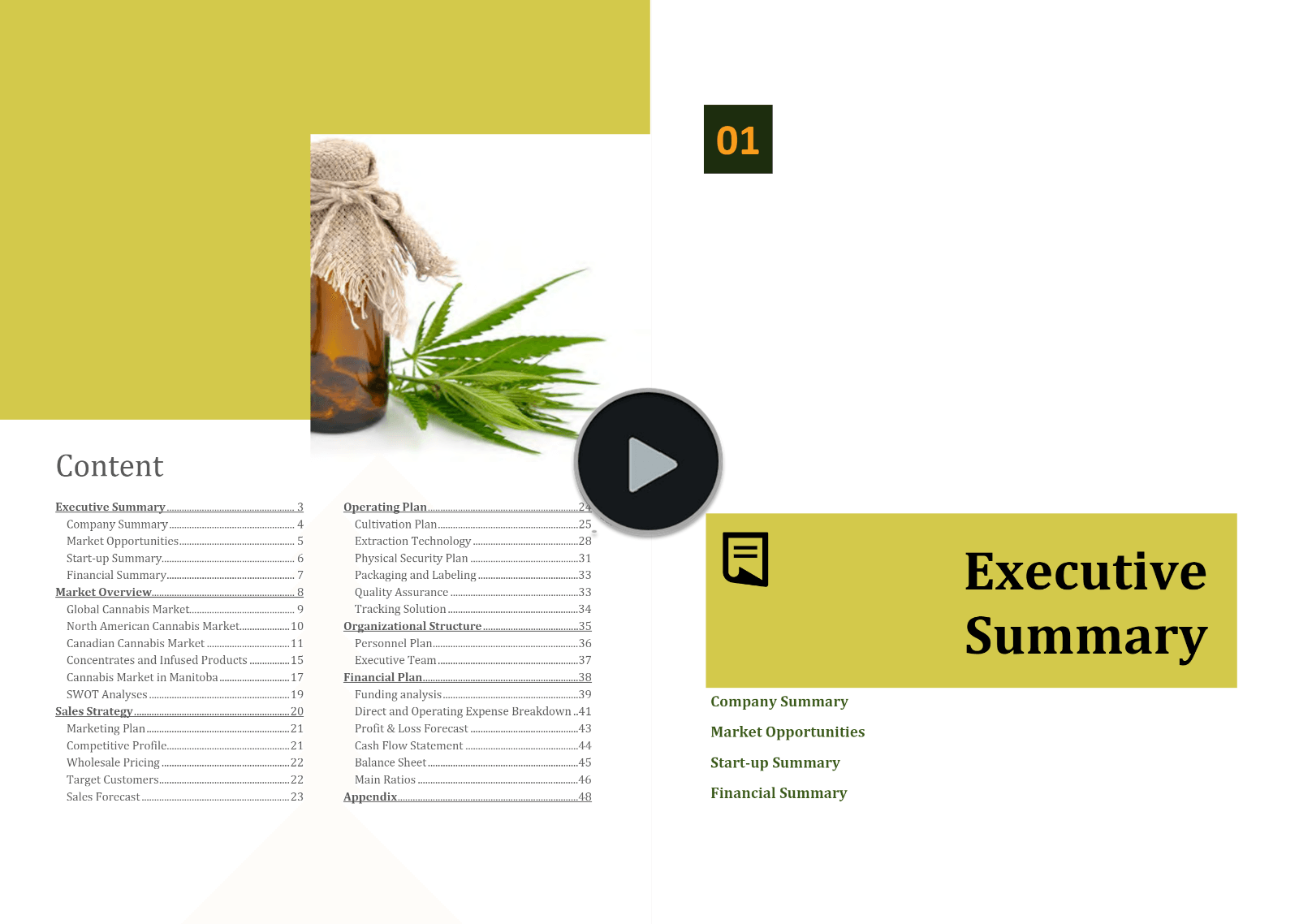 Cannabis micro Cultivation Processing Business Plan