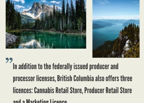 How to Start a Cannabis Business in British Columbia?