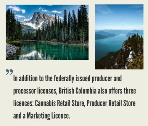 How to Start a Cannabis Business in British Columbia?