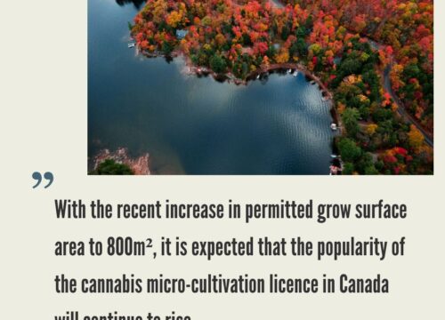 How to Start a Cannabis Micro Cultivation Business in Canada?