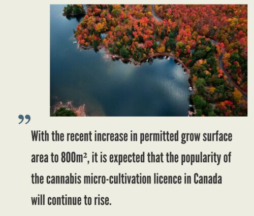 How to Start a Cannabis Micro-cultivation Business in Canada?