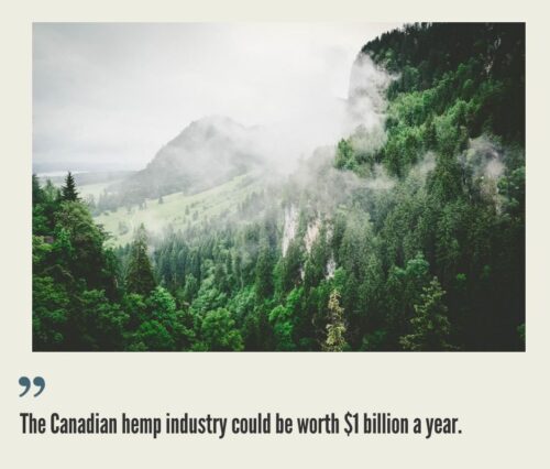 Canada Hemp CBD Market