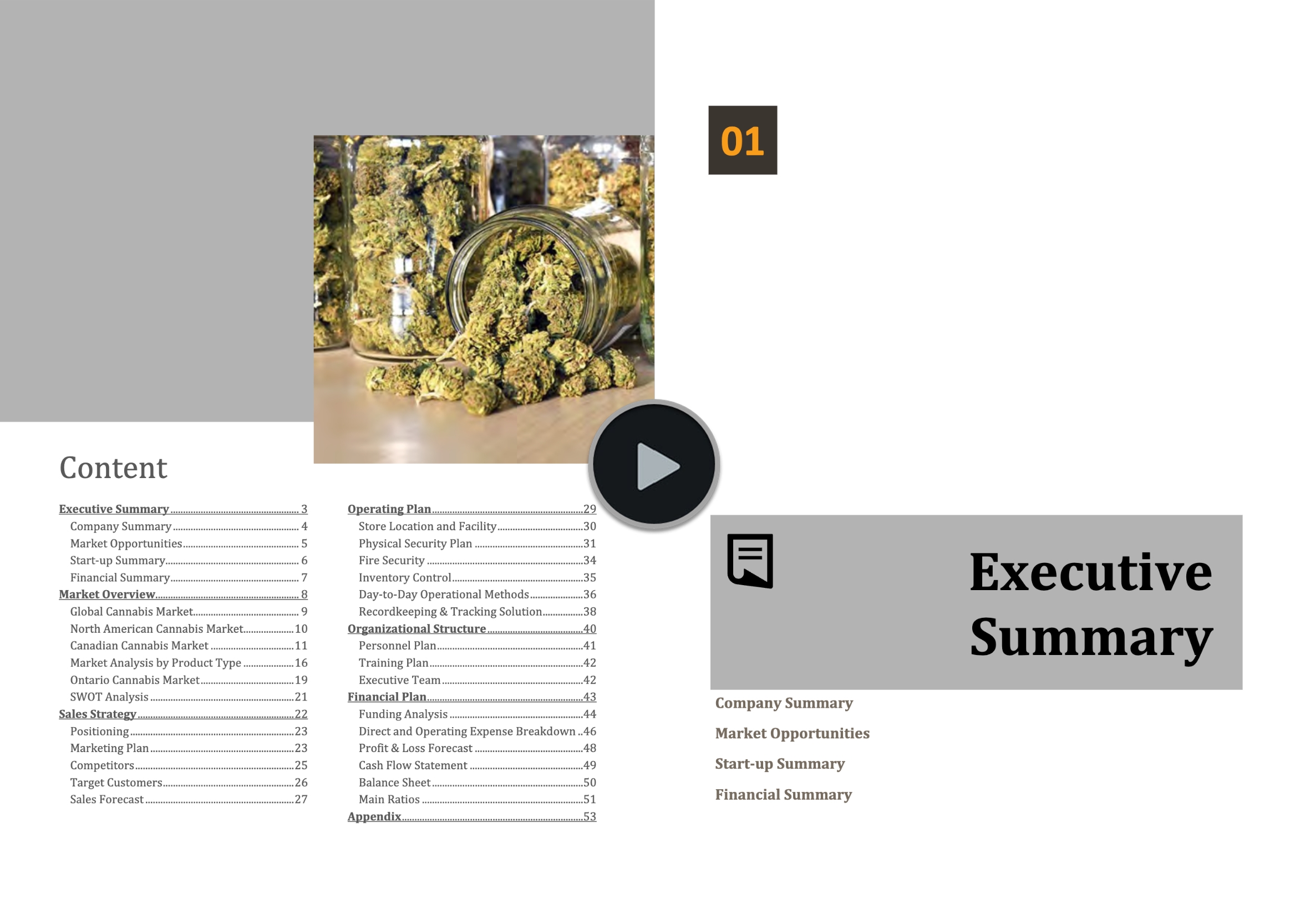 cannabis store business plan sample