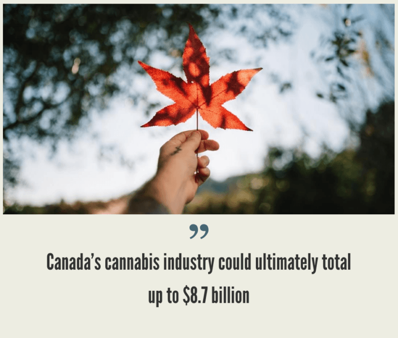 Canadian Cannabis Market